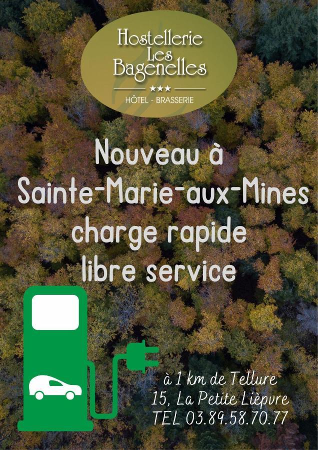 Hostellerie Les Bagenelles Sainte-Marie-aux-Mines Εξωτερικό φωτογραφία