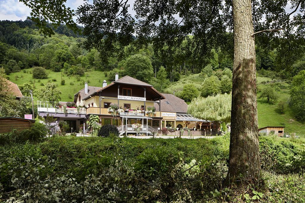 Hostellerie Les Bagenelles Sainte-Marie-aux-Mines Εξωτερικό φωτογραφία